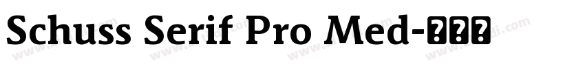 Schuss Serif Pro Med字体转换